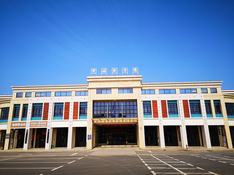 ����ƺ���Ј�